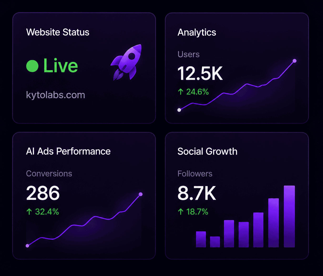 Website launch status, analytics, advertising performance, and social growth